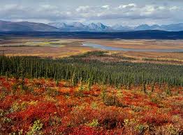 Arctic National Wildlife Refuge 